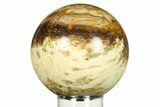 Polished Petrified Palmwood (Palmoxylon) Sphere - Texas #299282-1